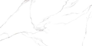 Керамогранит Alma Ceramica GFU60120CRR00R Carrara 60х120