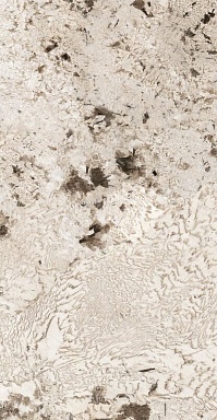 Керамогранит Casa Dolce Casa 774903 Nature Mood Glacier Glossy Ret 6mm 60x120