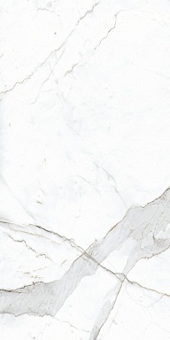 Керамогранит PrimaVera NR201 Dario Matt 600x1200