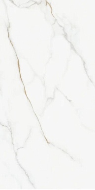 Керамогранит Realistik Kingston Silky Matt 60x120