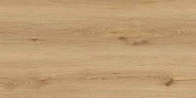 Керамогранит Global Tile GT5010026902MCR Вуди Бежевый 50x100