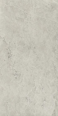 Керамогранит Italon 610010002343 Metropolis Absolut Silver Nat Rett 80x160