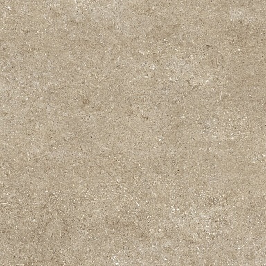 Керамогранит Casa Dolce Casa 768375 Sensi Taupe Fossil R+PTV Ret 80x80