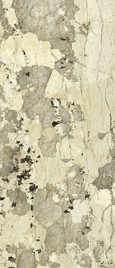 Керамогранит Italon 600180000041 Volcano Lux 120x278