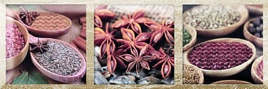 Декор Monopole Exquisit A Brillo 10*30