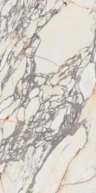 Керамогранит Ariana Ceramica PF60009341 Arabescato Lapp. 3d Ret 60x120