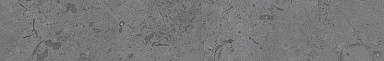 Kerama Marazzi DD205100R/3BT Плинтус Про Лаймстоун серый темный натуральный обрезной 60х9,5