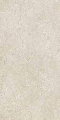 Керамогранит Cerim 779270 Stone Life Shell Matte Ret 6mm 60x120