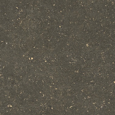 Керамогранит Casa Dolce Casa 785499 Rinascenza Arena Platino Grip 60x60