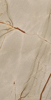 Керамогранит Casa Dolce Casa 774891 Nature Mood Rainforest Comfort 6mm 60x120