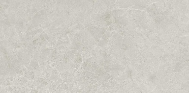 Керамогранит Neodom N130003 Borneo Grey Matt Carving 60x120
