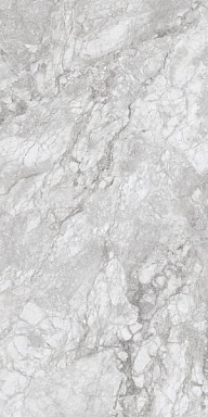 Керамогранит Concor 230167 Polar Grey Polished 60x120