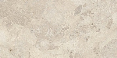 Керамогранит Imola Ceramica CR BIT R12B RM 60x120