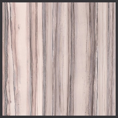Декор Cedit 764101 Policroma Cornice Valtoce Mat Ret 6mm 120x120