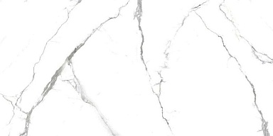 Керамогранит PrimaVera NR219 Acothly Matt 60x120
