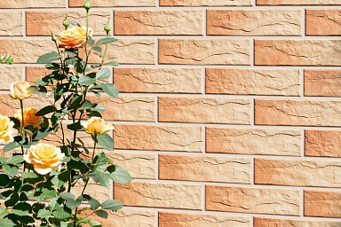 Клинкерная плитка CERRAD Gobi Elewacja Rustiko спец. 245x65x6,5