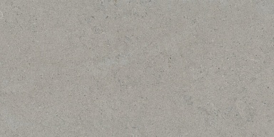 Керамогранит Tau Ceramica Calcare Silver 60x120