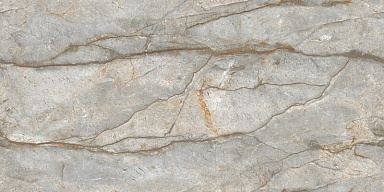 Керамогранит NT Ceramic NTT99517M Forest Carving 60x120