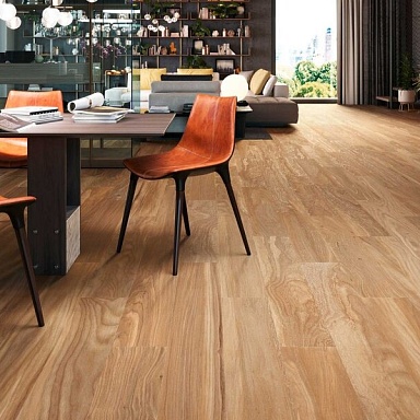 6610 Porcelanite Dos