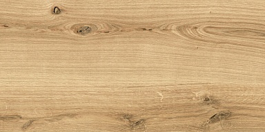 Керамогранит Cersanit C-WS4O112D Woodhouse коричневый 29,7х59,8
