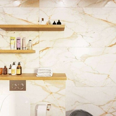 Apollo White Progres