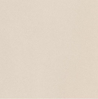 Керамогранит Imola Ceramica PRTU 60W RM PARADE 60x60