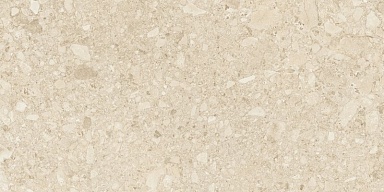Керамогранит Duna Ceppo Di Clay GHR 60x120