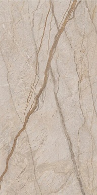 Керамогранит Italon 610010002835 Stellaris Elegant Silver Nat Ret 60x120