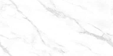 Керамогранит NT Ceramic NTT99506P Statuario Endless 60x120