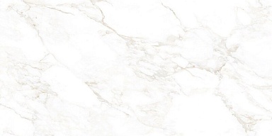 Керамогранит NT Ceramic NTT99526M Marble Extra Endless 60x120