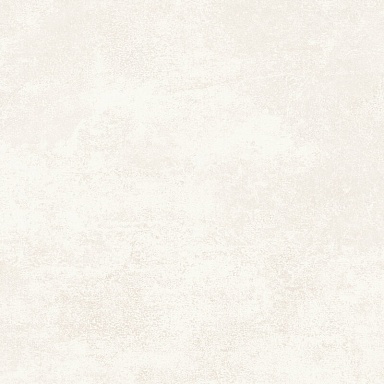 Керамогранит Alma Ceramica GFU6060BTP04R Beton Pro матовый граниль 600x600x9