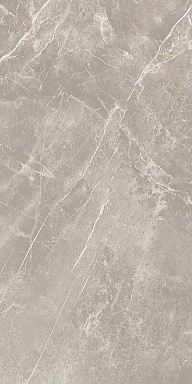 Керамогранит Cerim 766528 Elemental Grey Dolomia Luc Ret 60x120