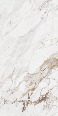 Керамогранит Artecera AC126100A Grazia Digital Glazed 60х120