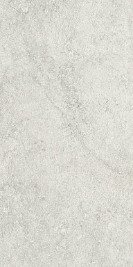 Керамогранит Neodom N120016 Мультиформат Кластик Сильвер Матовый 30x60