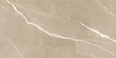Керамогранит New Trend 60120ESE21P Essential Marron полированный 600x1200x7