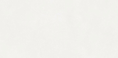 Керамогранит Neodom N110011 Aston White Matt 60x120