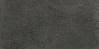 Керамогранит Fanal 120B005 Evo Coal Mat Rec 60x120