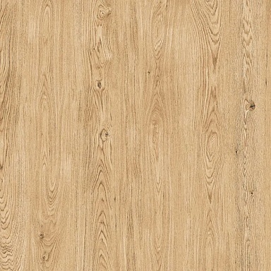 Керамогранит ProGRES Ceramica NR0395-M Керафорест Pine Коричневый светлый матовый 600x600x9.5