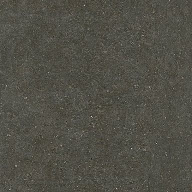 Керамогранит Casa Dolce Casa 785581 Rinascenza Arena Platino Matte 6mm 120x120