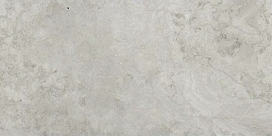 Керамогранит ProGRES Ceramica NR12060406-M Имперо Серый светлый матовый 1200x600x9.5
