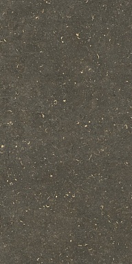 Керамогранит Casa Dolce Casa 785511 Rinascenza Arena Platino Grip 20mm 60x120