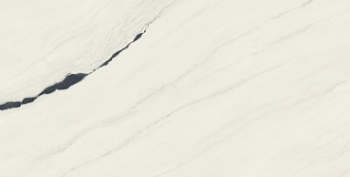 Керамогранит Атлас Конкорд Россия 610015000664 Forte dei Marmi Panda White Lapp 80x160