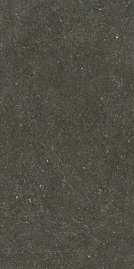 Керамогранит Casa Dolce Casa 785577 Rinascenza Arena Platino Matte 6mm 60x120