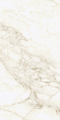 Керамогранит Coliseumgres 610010002745 Микеланджело Ворм 60x120