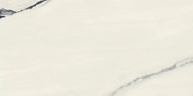 Керамогранит Атлас Конкорд Россия 610015000656 Forte dei Marmi Panda White Rett Cer 60x120