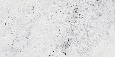 Керамогранит Gracia Ceramica Inverno white 01 30х60