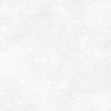 Керамогранит Alma Ceramica GFU6060BTP00R Beton Pro матовый граниль 600x600x9