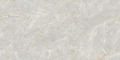 Керамогранит Neodom N20584 Soya Silver Carving 80x160