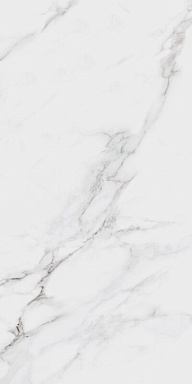Плитка Kerama Marazzi KM6012B0330R Марсель серый светлый глянцевый обрезной 60x119,5x0,9