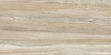 Плитка Alma Ceramica TWU09WDX404 Dakota Woodmix 24.9x50